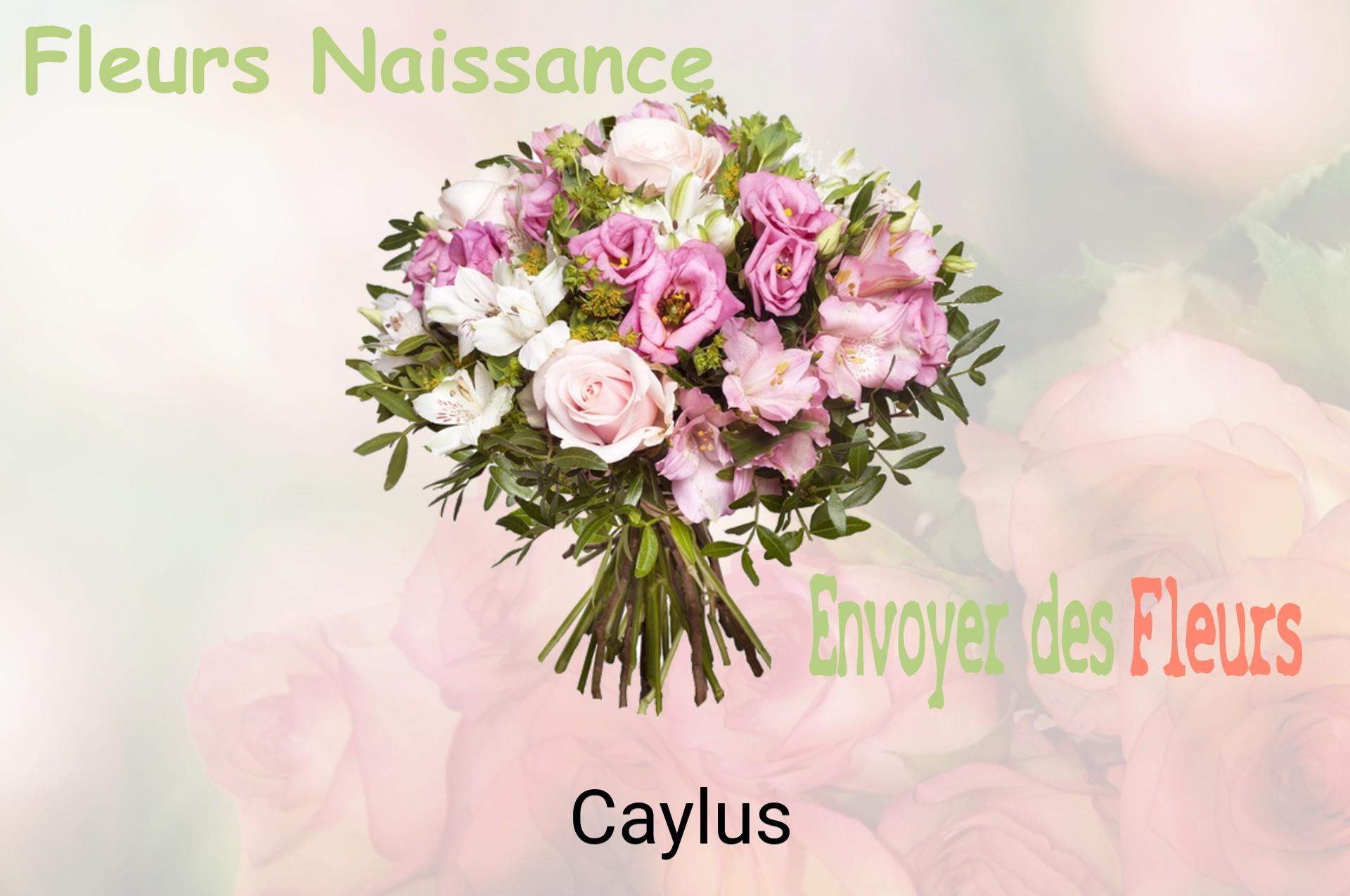 Bouquet de fleurs de naissance livré à Caylus