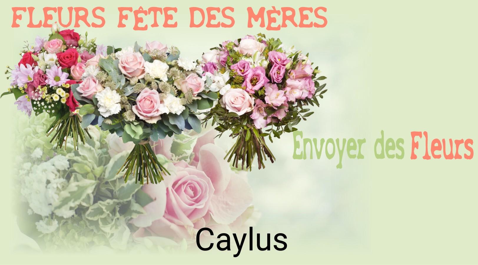 Bouquet de Fête des Mères livré à Caylus
